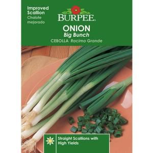 Burpee Big Bunch Onion Seed 64142