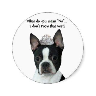 Boston Terrier  What Do You Mean "No"? Stickers