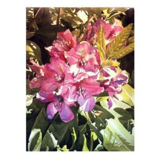 Trademark Fine Art 26 in. x 32 in. Royal Rhododendrons Canvas Art DLG0194 C2632GG