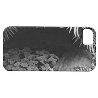 Palm Fronds Hanging Above Ground Cover iPhone 5 Cover