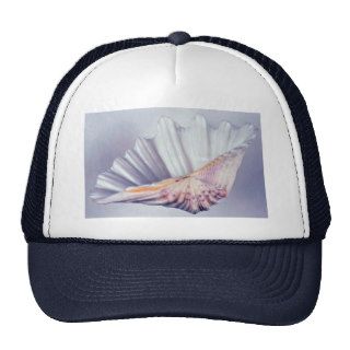 giant clam shell for decorative use mesh hats