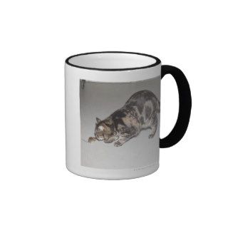 A cat and mouse facing each other mug