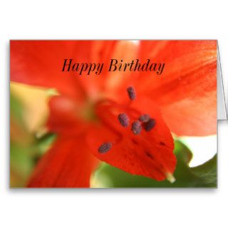 Red Alstroemeria Happy Birthday Card