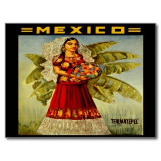 Vintage Mexico Travel Poster Postcard