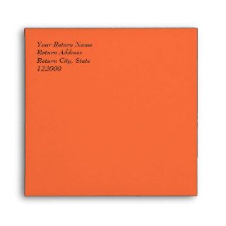 Simply Orange Wedding Invitation Envelope 5.5x5.5