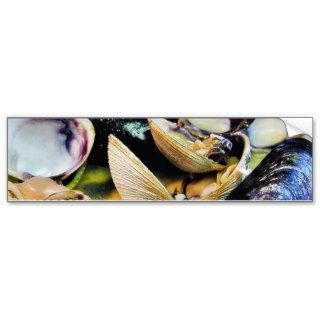 Clams Muscles Shellfish Food Bumper Stickers