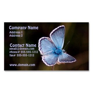 Small Blue Butterfly Business Card