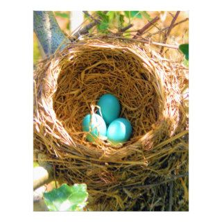 Robin Eggs in a Backyard Tree Nest Flyer Design