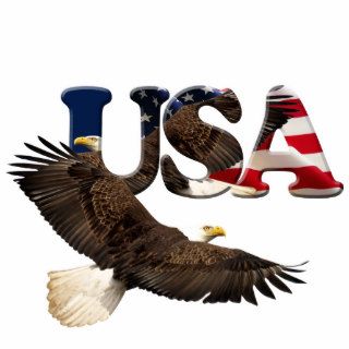 Patriotic Flying Bald Eagle & Flag Sculpted Gift Photo Cut Outs