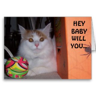 HEY BABY, WILL YOU BE MY VALENTINE SAYS KITTEN CARDS