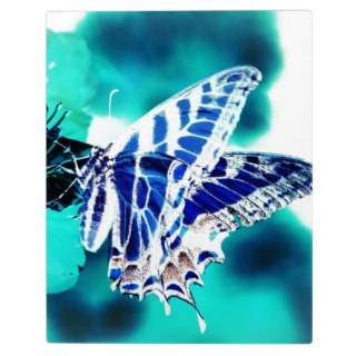 Blue Butterfly Display Plaques