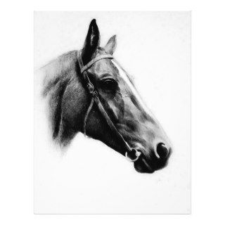 Black & White Horse Full Color Flyer