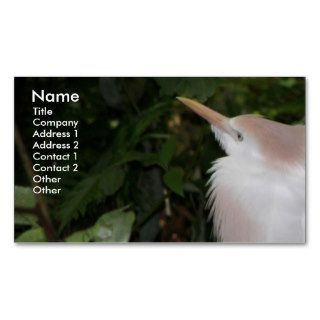Tropical Bird Business Card