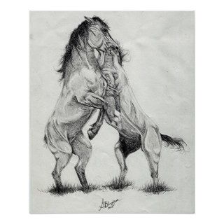 Mustang Stallions Wild Horses Poster Print