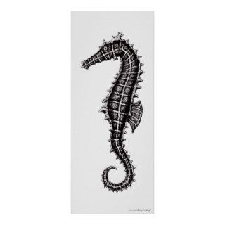 Seahorse black and white drawing art poster