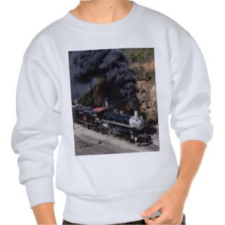 Savannah and Atlanta Railway, 4 6 2, No. 750, Ashe Pull Over Sweatshirt