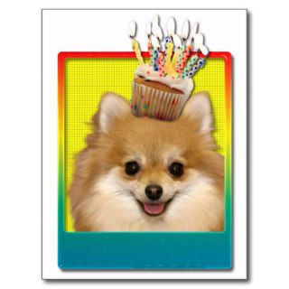Birthday Cupcake   Pomeranian Postcard