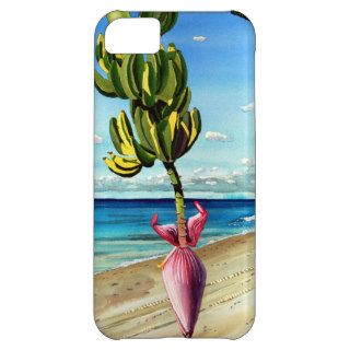Tropical Ocean with Banana Tree iPhone 5C Case