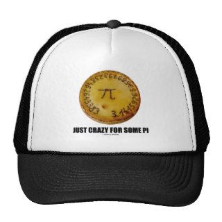 Just Crazy For Some Pi (Pi / Pie Math Humor) Mesh Hat