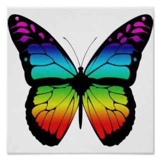 Colorful Butterfly Poster