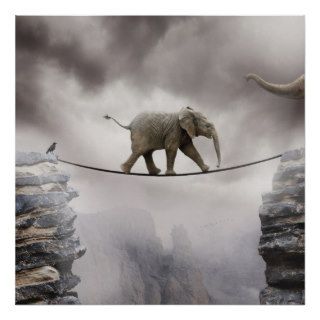 Baby elephant walks tightrope across big gorge. poster