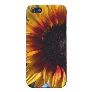 Brilliant Sunflower iPhone Speck Case iPhone 5 Case