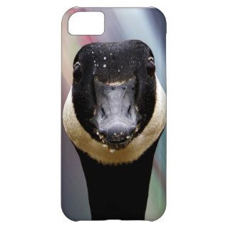 iPhone Case Silly Goose iPhone 5C Covers