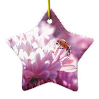 Ladybug in pink ornament