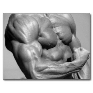 Muscular Chest Postcard