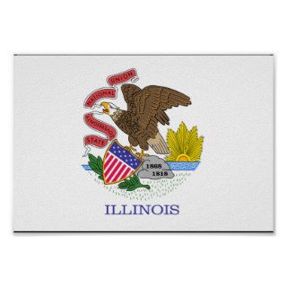Illinois Flag Print