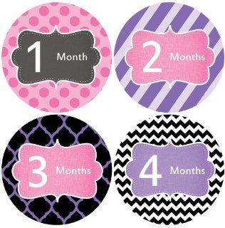 Pink Purple #164 Girl Baby Month Stickers for Bodysuit Chevron Polka Dots Stripes  Baby