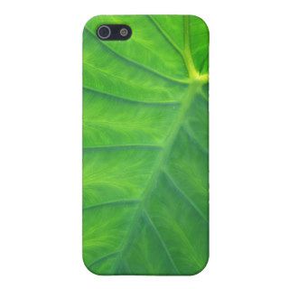 Elephant Ears   Colocasia Cases For iPhone 5