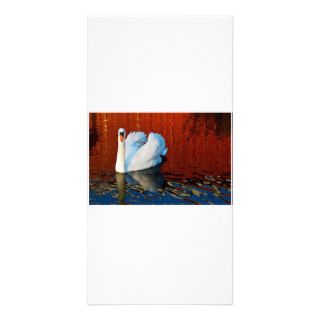 Photo Note Card Blank Inside Photo Card Template