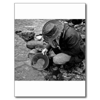 Panning for Gold Black and White Post Card