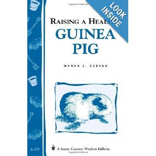 Raising a Healthy Guinea Pig Storey's Country Wisdom Bulletin A 173 (Storey Country Wisdom Bulletin) Wanda L. Curran 9780882669991 Books