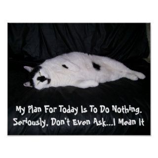 Demotivational Cat Poster Funny Kitty Cats Posters