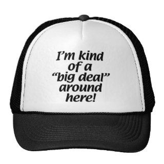 I’m kind of a big deal around here. hat