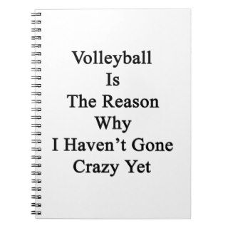 Volleyball Is The Reason Why I Haven't Gone Crazy Notebook