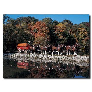 USA Wholesaler   AB266 C1419GG   Clydesdales in Fall by Stone Pond  14 x 19 Canvas Sports & Outdoors