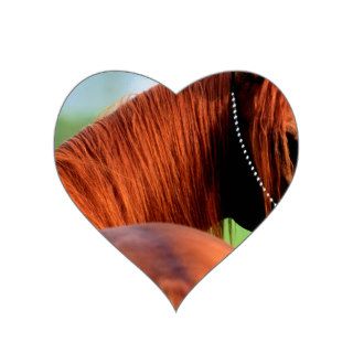 Horse Heres Looking At You Kid Arabian Heart Sticker