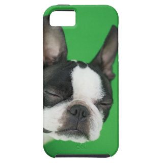 Dog, eyes closed iPhone 5 cover