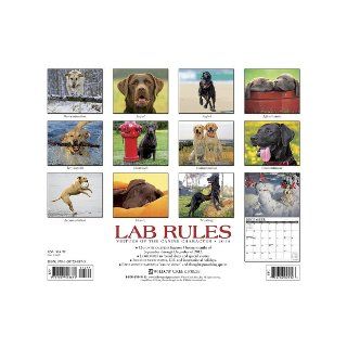 Lab Rules 2014 Wall Calendar Willow Creek Press 9781607558873 Books