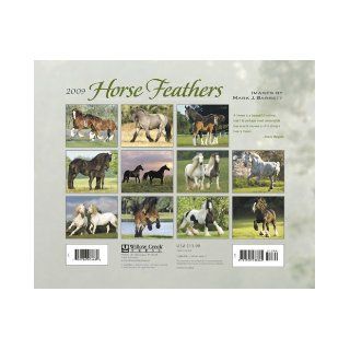 Horse Feathers Mark J. Barrett 9781595438065 Books