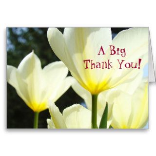 A Big Thank You Cards White Yellow Tulip Flowers