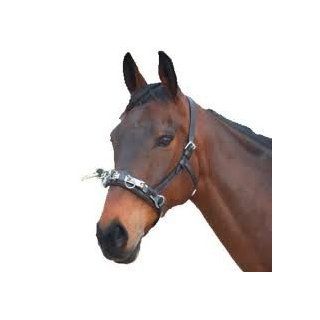 Lunge Cavesson Leather Cob/Pony  Equestrian Equipment  Sports & Outdoors