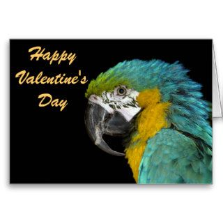 Blue Green Yellow Parrot Valentines Day Greeting Card