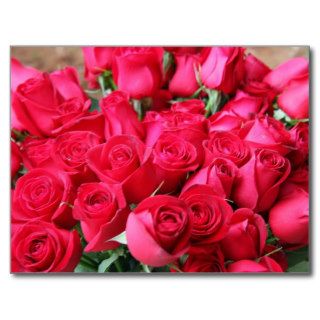 Deep Pink Rose Bouquet Post Card