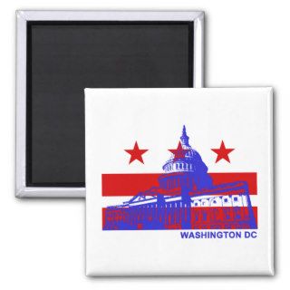 Washington DC Flag Fridge Magnet
