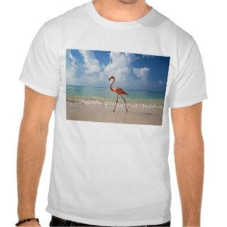 Flamingo walking along beach tshirt