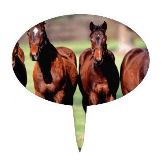 Horses 4 Studs Pose Cake Toppers
